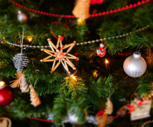 Skipping Christmas? | Coacto Year of Change #10