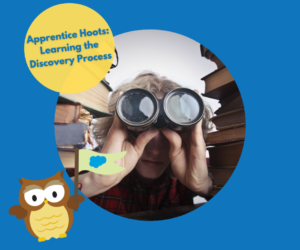 Apprentice Hoots: Learning the Coacto Service Delivery Process