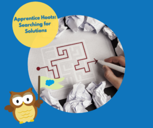 Apprentice Hoots: Searching for Solutions