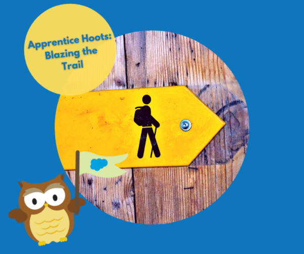 Apprentice Hoots: Blazing the Trail