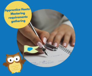 Apprentice Hoots: Mastering requirements gathering