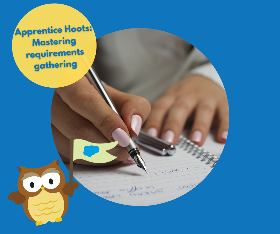 Apprentice Hoots: Mastering requirements gathering