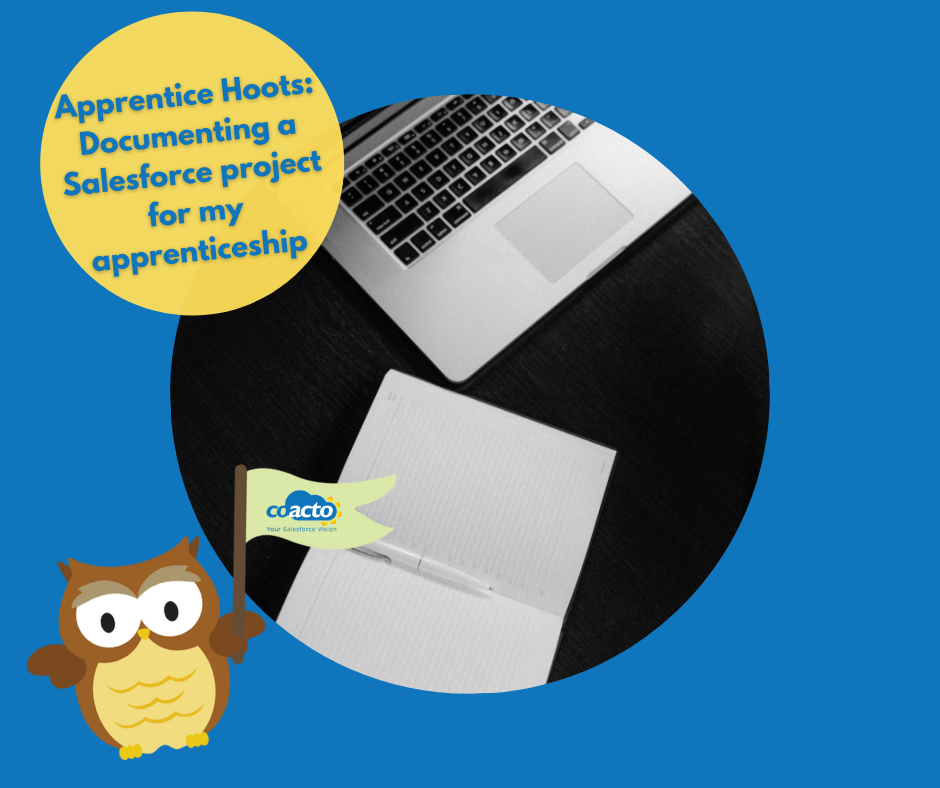 Apprentice Hoots: Documenting a Salesforce project for learning provider LDN Apprenticeships