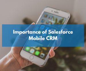 The importance of Salesforce mobile CRM