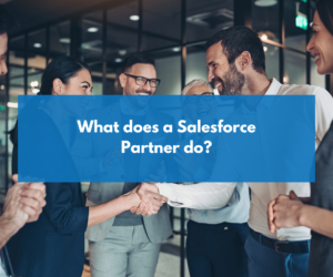 What does a Salesforce Partner do?