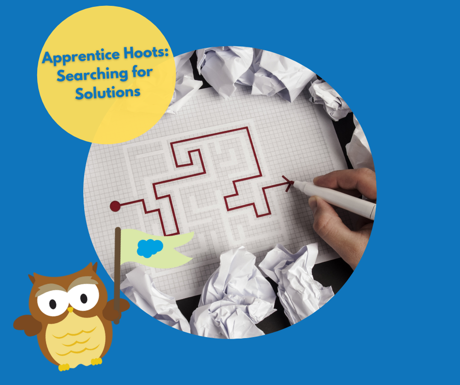 Apprentice Hoots: Searching for Solutions