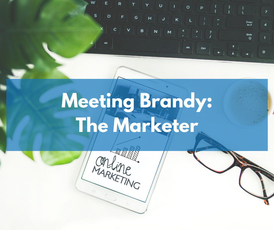 Meeting the new member of the Ohana: Brandy the Marketer