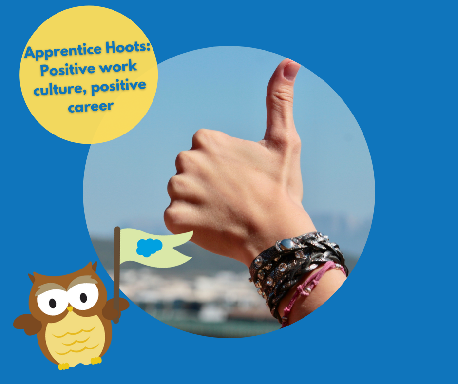 Apprentice Hoots: Positive work culture, positive career