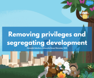 Cotswolds Salesforce Community Group: Removing privileges and segregating development