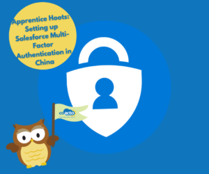 Apprentice Hoots: Authenticator apps that work when setting up Multi-Factor Authentication (MFA) in China