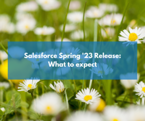 <strong>Salesforce Spring ‘23 Release: Key dates & features</strong>
